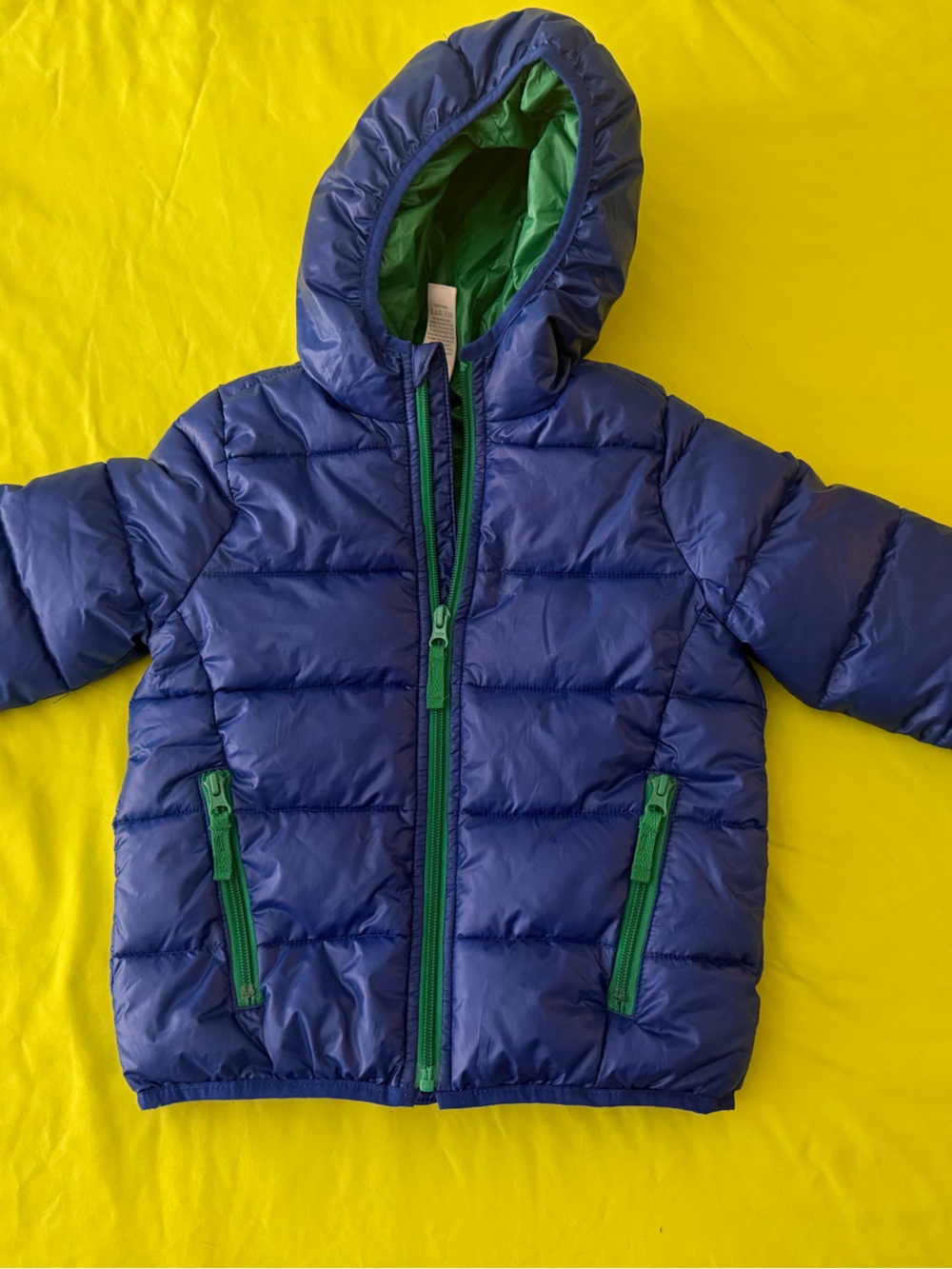 Gymboree Blue Jacket with Green Lining and Trim